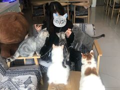 -平行世界·猫咖(首经贸店)