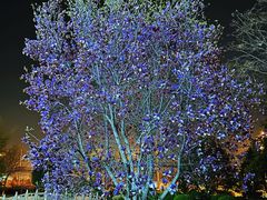 -北京市海淀外国语实验学校