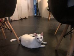 -Doors独立剧情密室(东门分店)