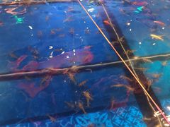 -钳真多钓虾馆·小龙虾海鲜烧烤(九六广场店)