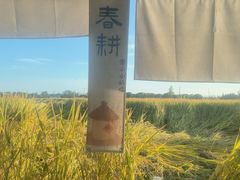 -嘉北郊野公园