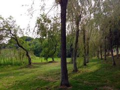 upload_pic-艾溪湖湿地公园