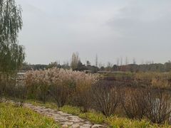 -东郊湿地公园
