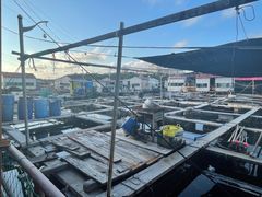 -蓝湾碧波·老字号·疍家非遗海上餐厅