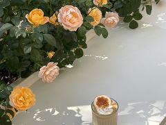 -Beans Solo豆号咖啡(百家湖花园店)
