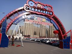 -丁香湖丁香小镇Citypark滑雪公园戏雪嘉年华