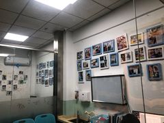 -睿金宠物医院·CT·肿瘤·骨外科