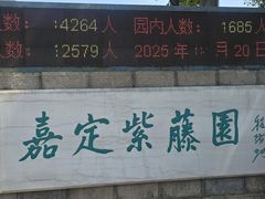 -嘉定紫藤园