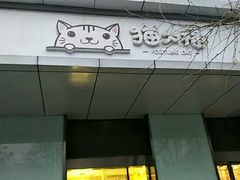 -猫大福·Fortune Cat猫舍(百子湾店)