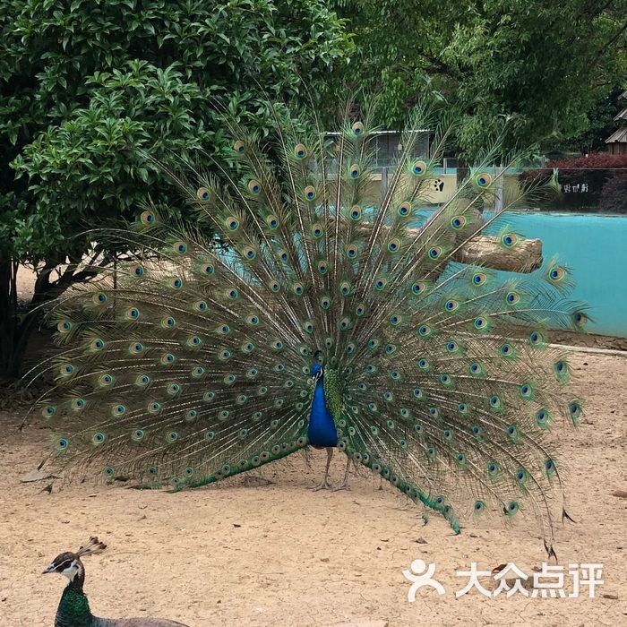 珍珠泉野生动物生态园图片-北京动物园-大众点评网