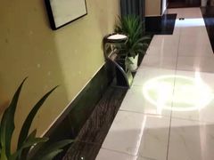 -舞指仙境港派足浴指压(金龙国际店)