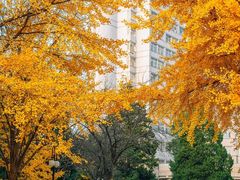 -北京理工大学(中关村校区)