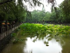 -四川大学(华西校区)