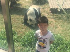 -大连森林动物园