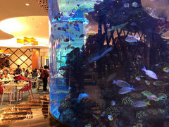 门面-长隆海洋王国自助餐厅(横琴湾店)