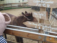 -HERRE·FARM 赫尔露营农场·团建聚会包场