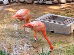 -昆明动物园