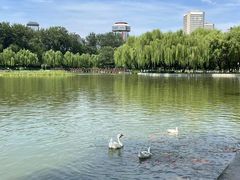 -中国农业博物馆