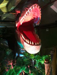 -恐龙探索乐园(磁器口店)