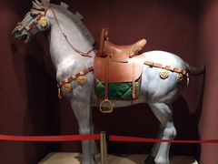 -西安大唐西市博物馆