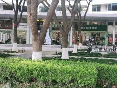 -Oh My Dog宠物沙龙(伊珊娜皮毛护理店)