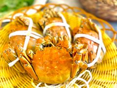 -蟹天蟹地农家菜·阳澄湖大闸蟹(浅水湾店)
