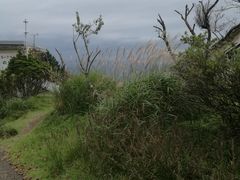 -比叡山