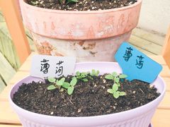 -长颈鹿咖啡(大学路店)