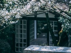 -中国茶叶博物馆(双峰馆区)