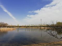 -永定河休闲森林公园