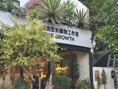 -自由生长植物工作室(深港花卉中心店)