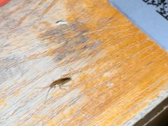 -Helens海伦司小酒馆(南京洪武路店)