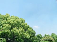 -潮府馆·非遗潮州菜·世纪公园(新国际博览中心店)