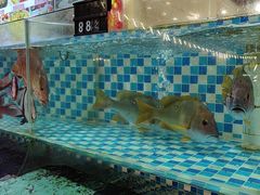 -俊江海鲜酒店(海陵岛白蒲市场店)