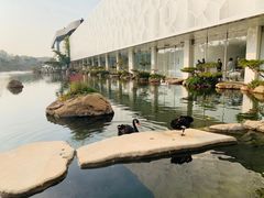 -罗红摄影艺术馆