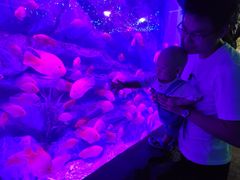 -芜湖新华联大白鲸海洋公园