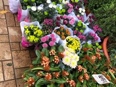 -花园街
