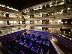 -南京禄口机场雅高铂尔曼大酒店