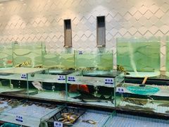 水产区-新海利海鲜城·41年珠海老字号(夏湾店)