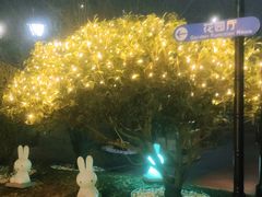 -青岛鑫江温德姆酒店