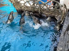 -华夏文旅海洋公园