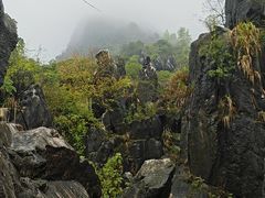 -玉石林风景区