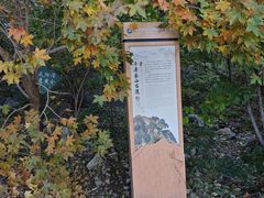 -北京鹫峰国家森林公园
