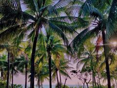 -三亚西岛海洋文化旅游区