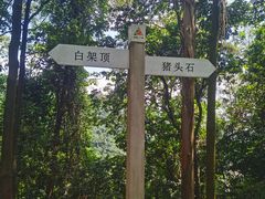 -火炉山森林公园