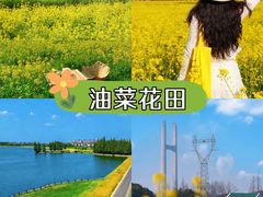 -上海山野camping·户外天幕烧烤·团建拓展营地