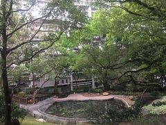 -香港大学