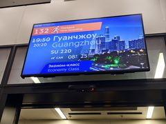 -谢列梅捷沃国际机场