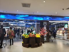 -盒马鲜生(大成店)