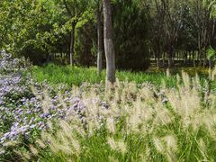 -永定河休闲森林公园